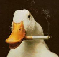 Nappo Pasquale
