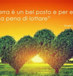 La foresta di Marco e Marta