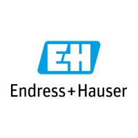 ENDRESS+HAUSER TS IT