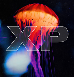 XP #danceforchange