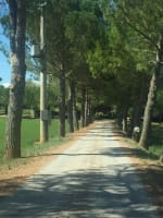 RaffaCeciAle SchelliColle