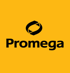 Sommergewinnspiel