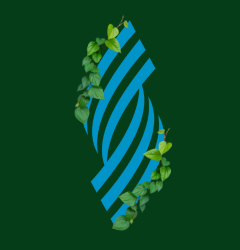 Cyber Trees