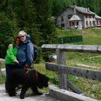 Stefano Gallitto
