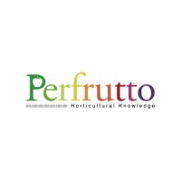Perfrutto