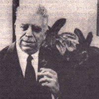 Mattia Megli