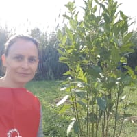 ALESSIA COLLE