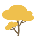 Roble