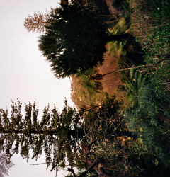 Taka-Tuka-Wald