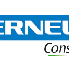 Vernelli Consulting Sas