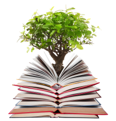 Foresta dei vecchi libri