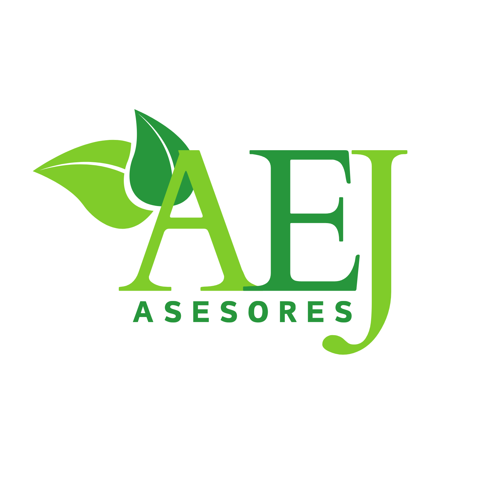 AEJ ASESORES