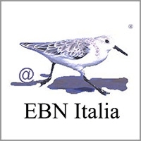 EBN Italia