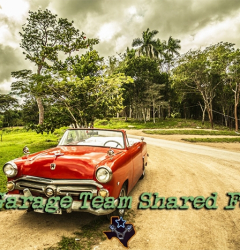 A&M Garage Team Shared Forest