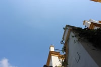 Lulù Pigna
