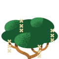 Shu