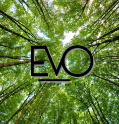 EVO Forest