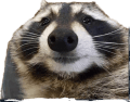 peppeDJK ambrous