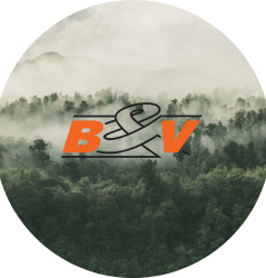 Foresta Brivio & Viganò