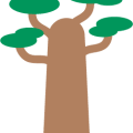 Baobab