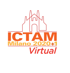 ICTAM 2020+1 Global Forest