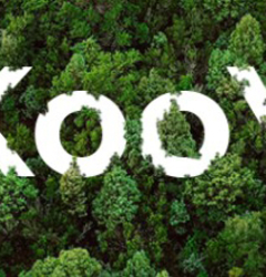 KoKooYa! Forest