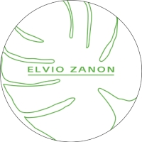 ELVIO ZANON