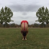 Laura Rossi
