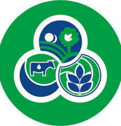 La foresta di Novatex