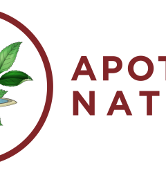El Bosque de Apoteca Natura