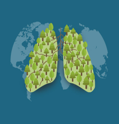 Forest Lung