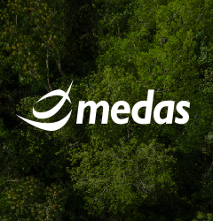 Foresta Medas