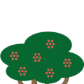 Lentisco
