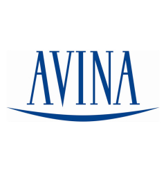 Plenaria Avina 2013