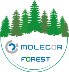 Molecor Forest