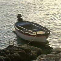 Grazia Ippolito