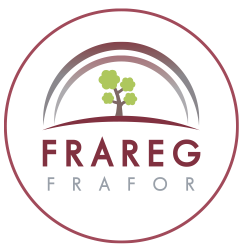 La foresta Frareg