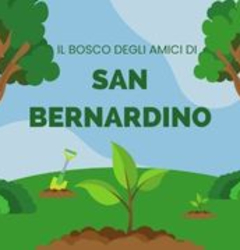 Il Bosco degli Amici di San Bernardino