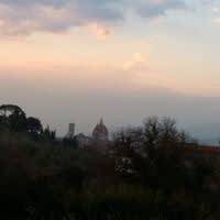 Orsola Privitera