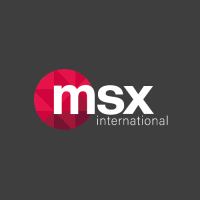 MSX International