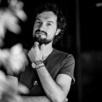 Davide Pecis
