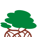 Asiatic Mangrove