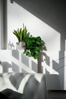 StudioElite Immobiliare