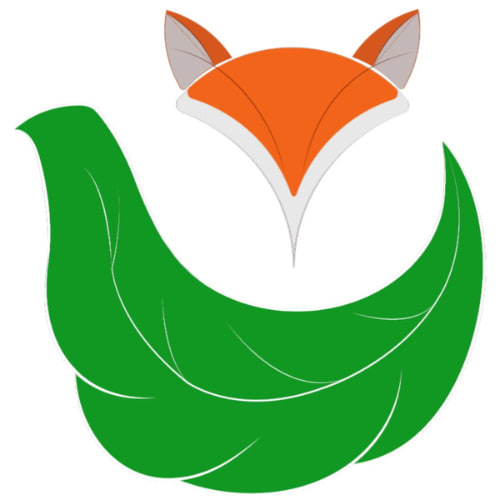 Our Discovery  Travel