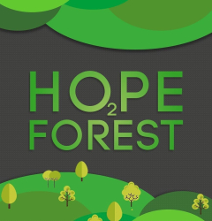 Hope Forest