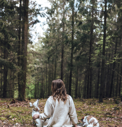 Hello Pippa Forest
