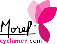 MOREL DIFFUSION