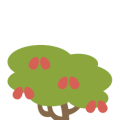 Tree Tomato