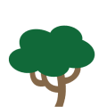 Tapia