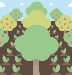 A Forest